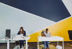 best team collaboration software