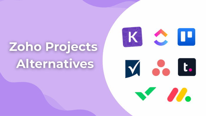 Zoho Projects Alternative 2025