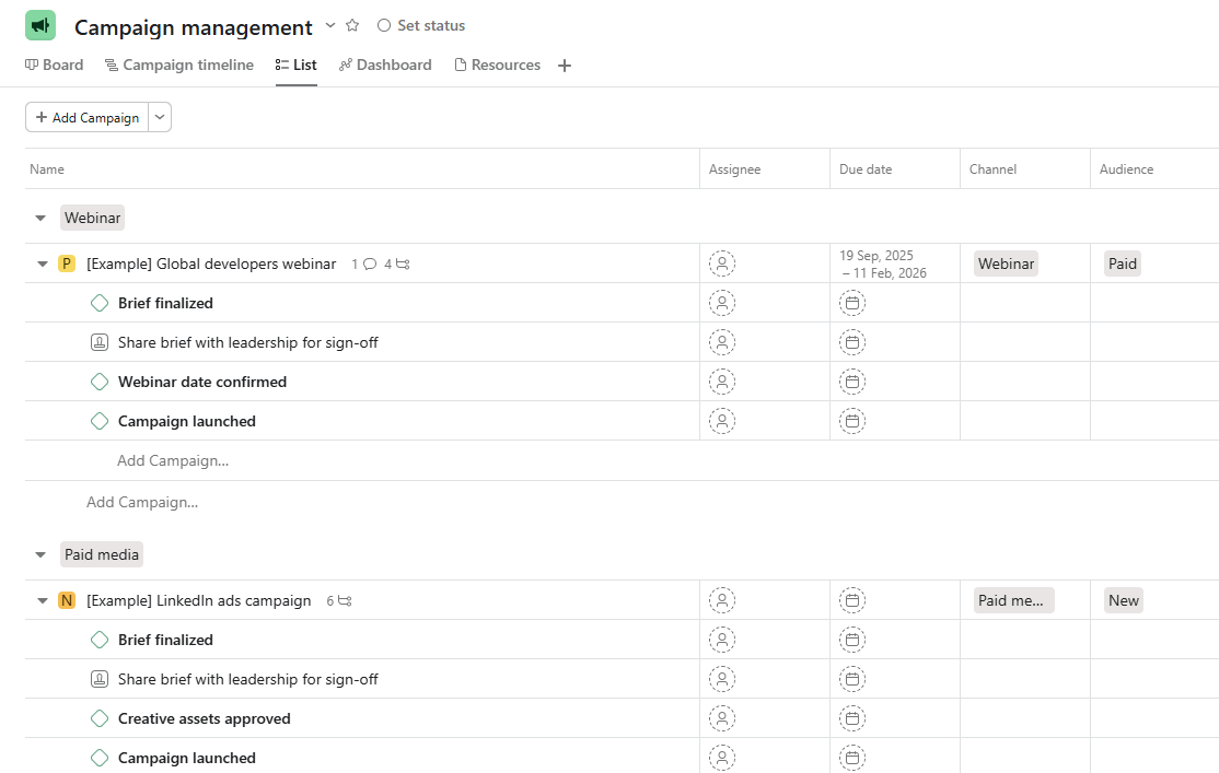 Asana project management dashboard showing tasks, timelines, and team collaboration for a digital marketing agency